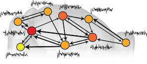 dynamics and connectivity